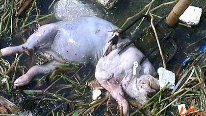 上海室內空氣質量檢測中心-上海CMA檢測報告